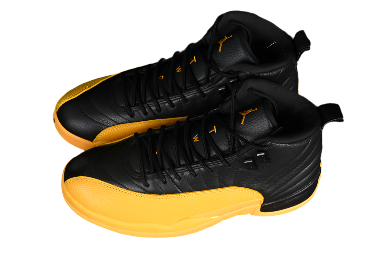 Air Jordan 12