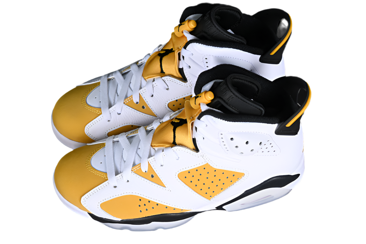 Air Jordan 6