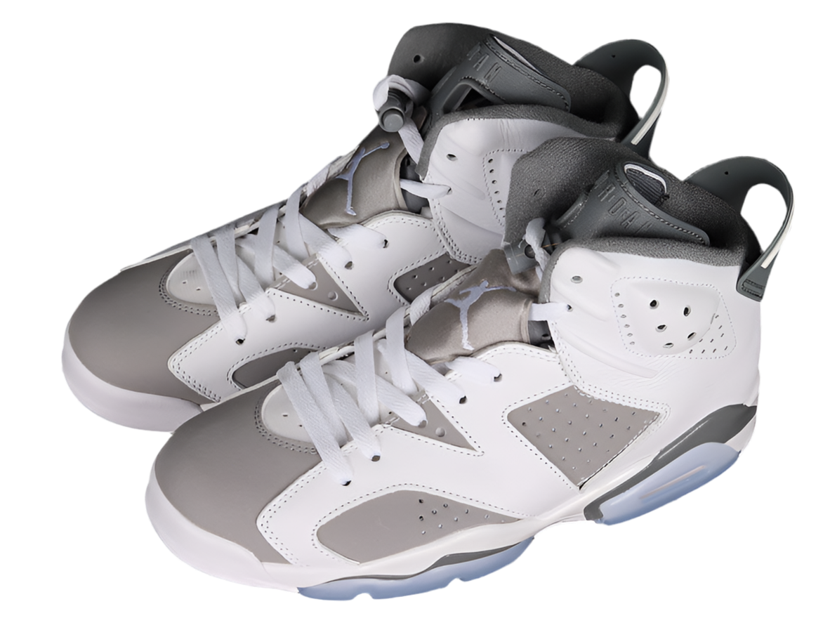 Air Jordan 6