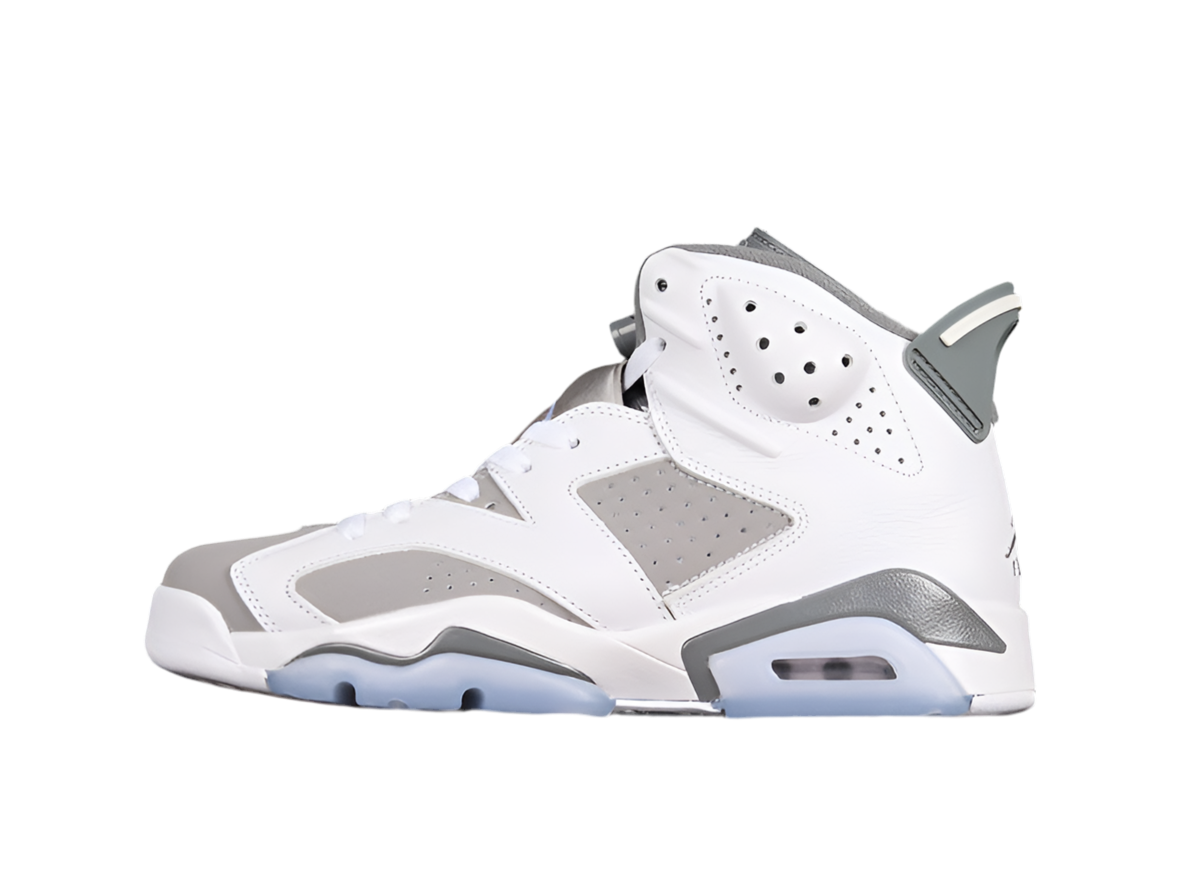 Air Jordan 6