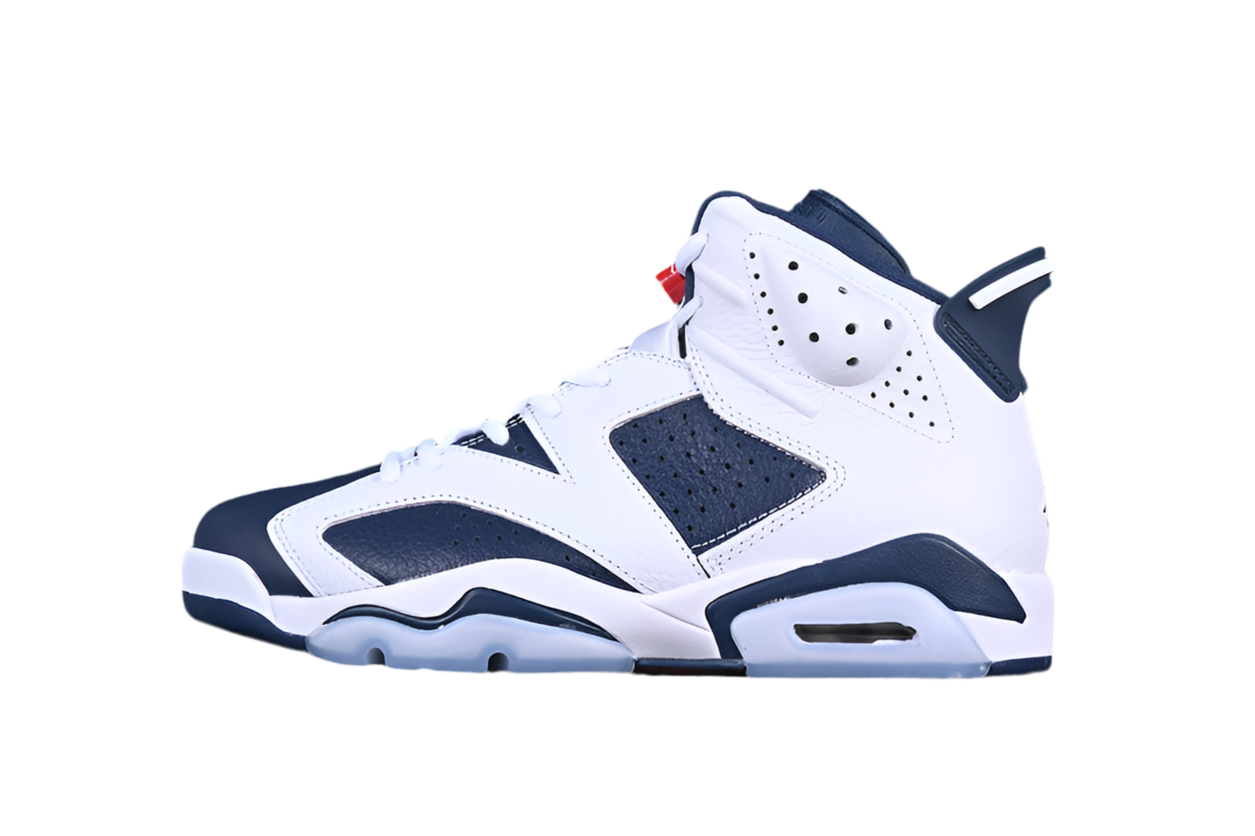 Air Jordan 6