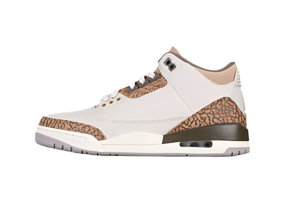 Air Jordan 3