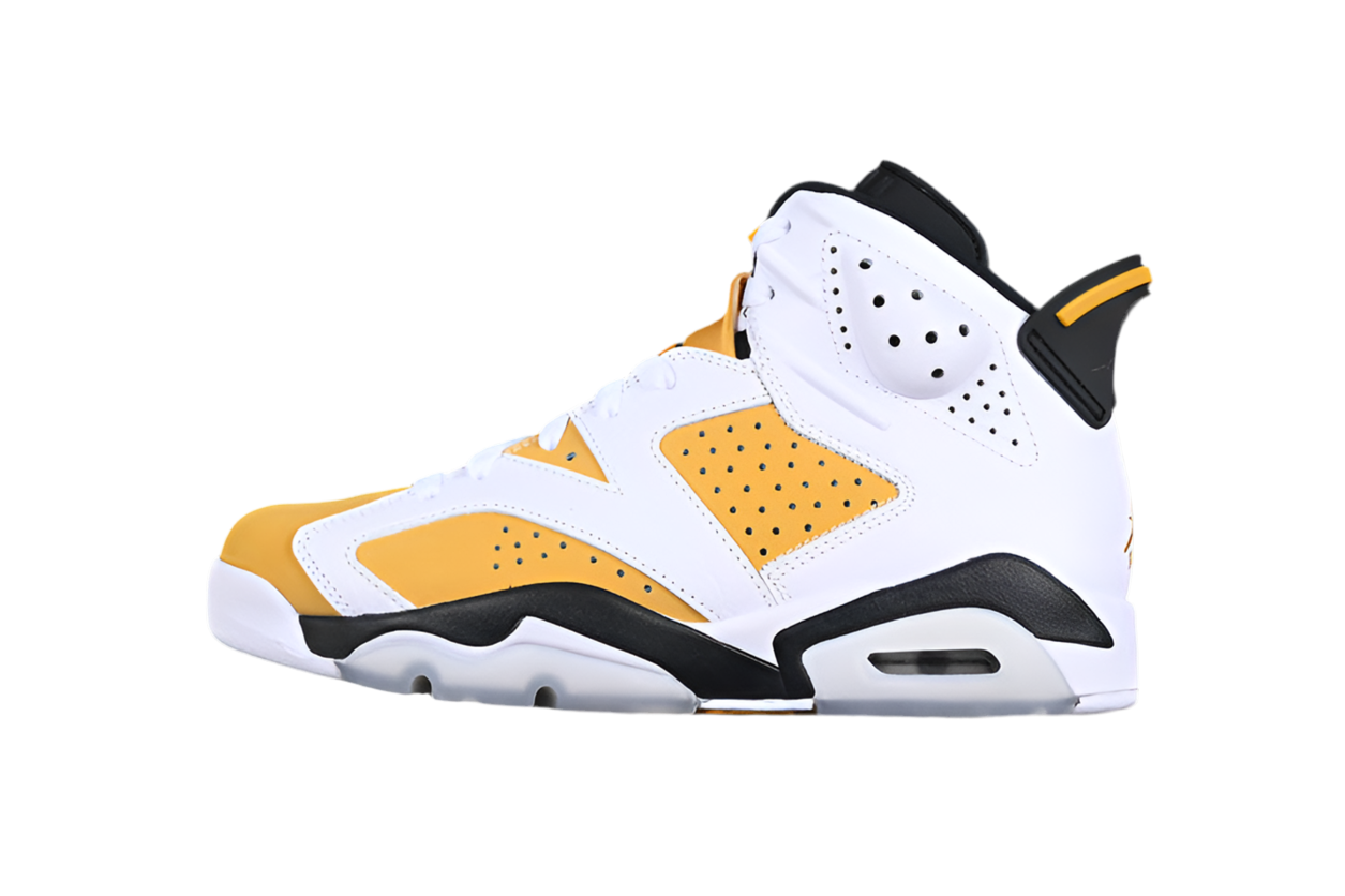 Air Jordan 6