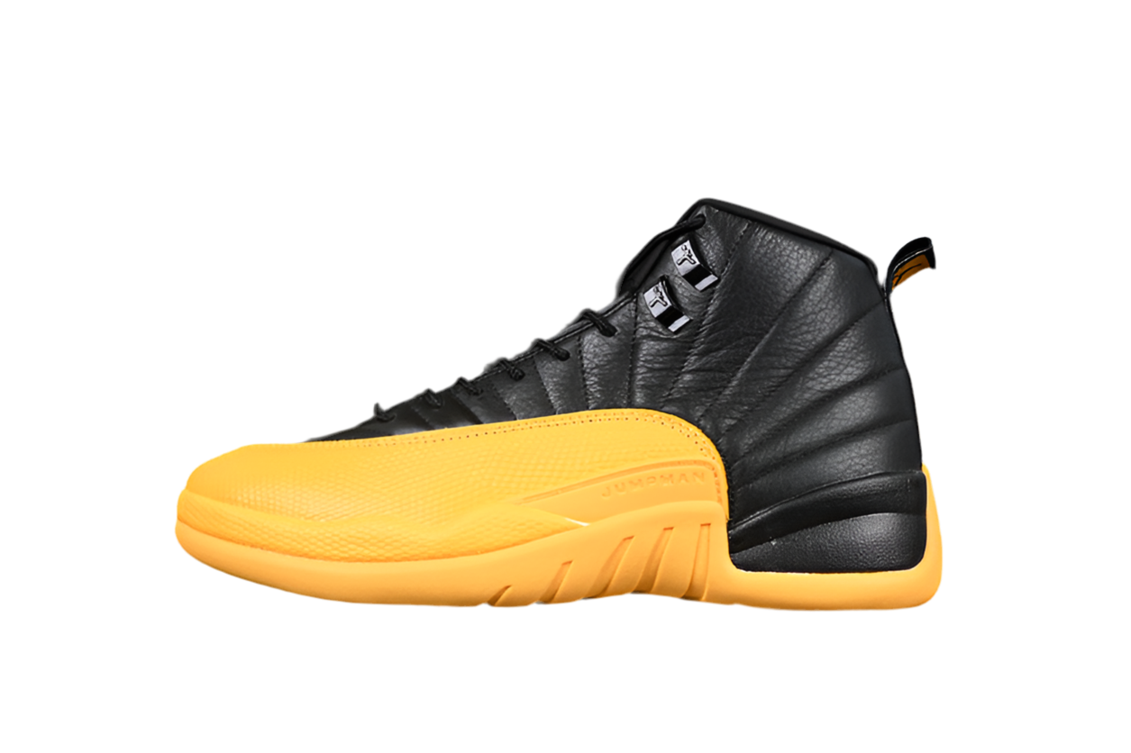 Air Jordan 12