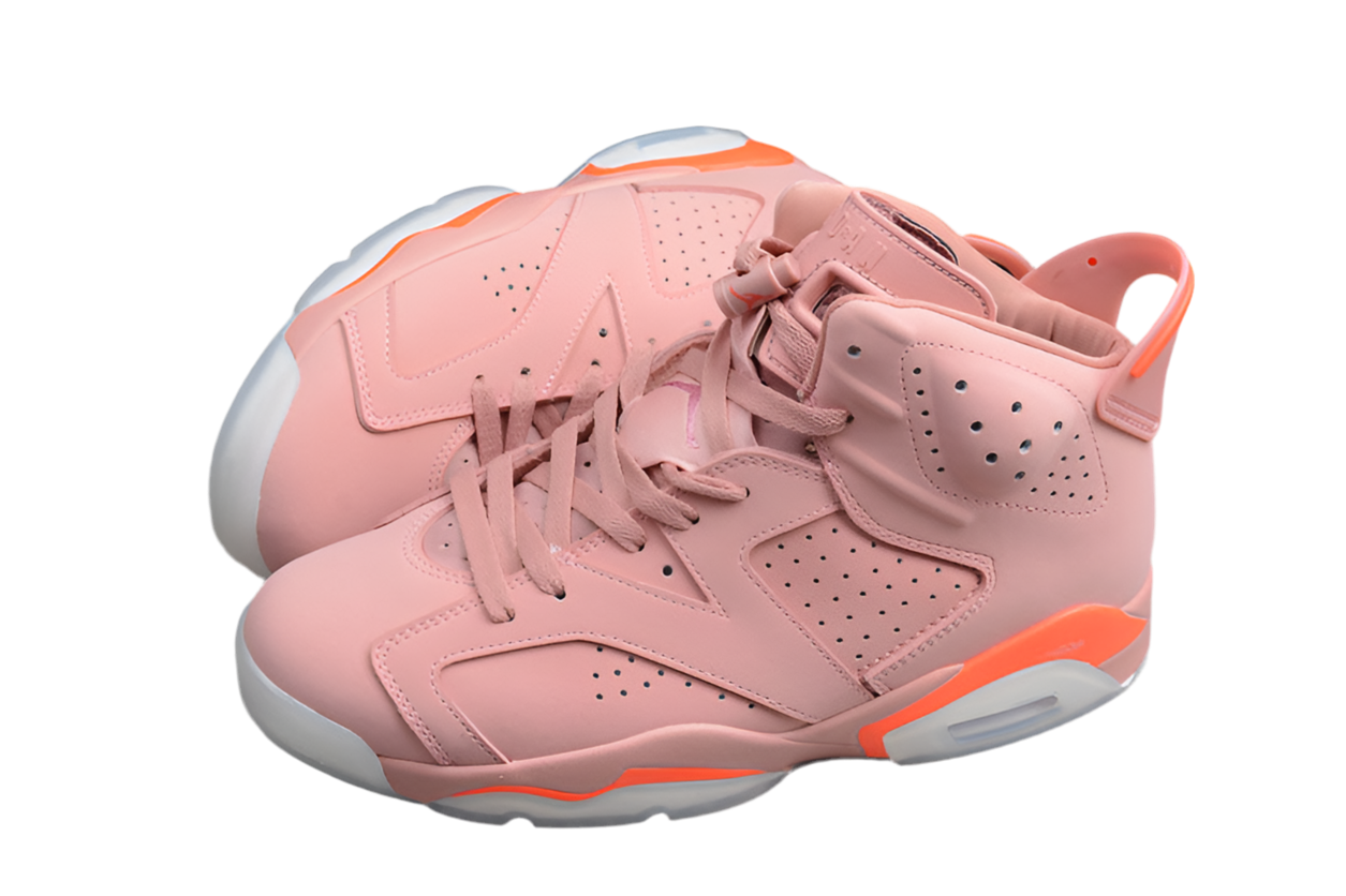 Air Jordan 6