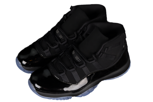 Air Jordan 11
