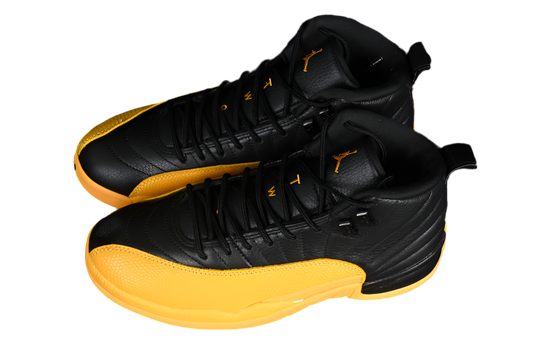 Air Jordan 12