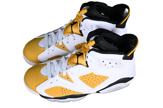 Air Jordan 6