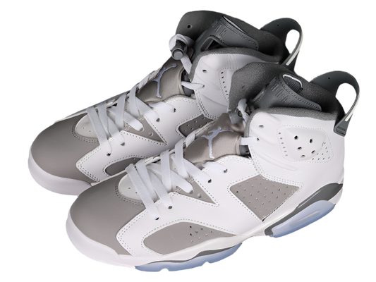Air Jordan 6