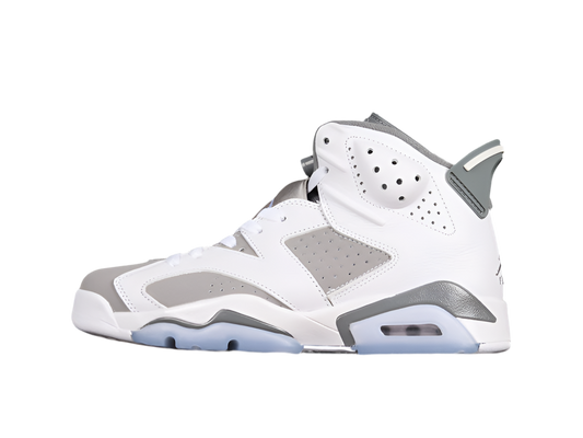 Air Jordan 6