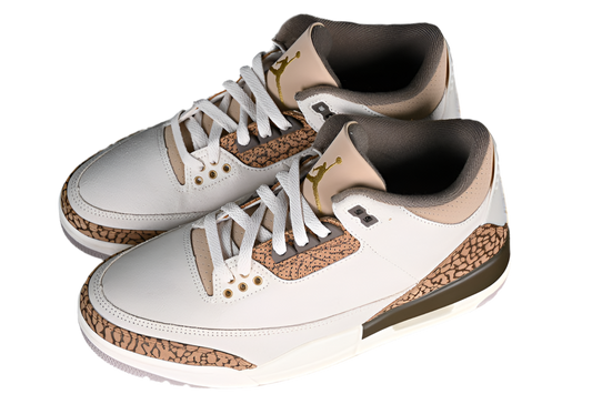 Air Jordan 3