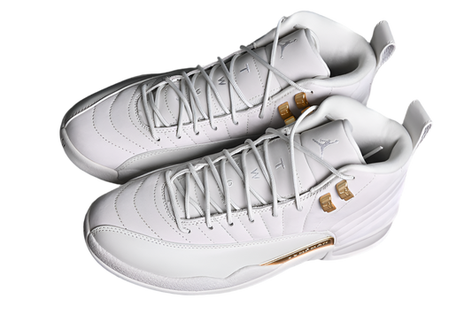Air Jordan 12