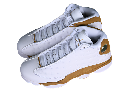 Air Jordan 13