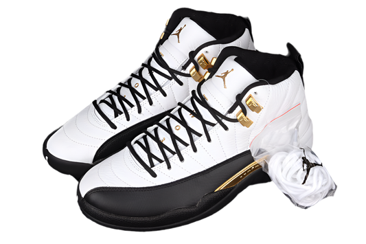 Air Jordan 12
