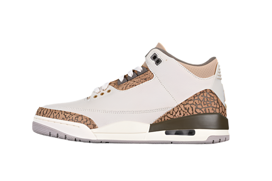 Air Jordan 3