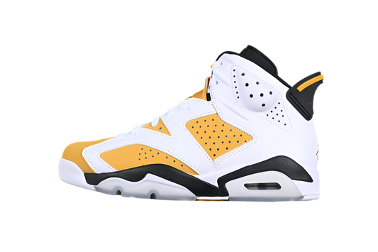 Air Jordan 6