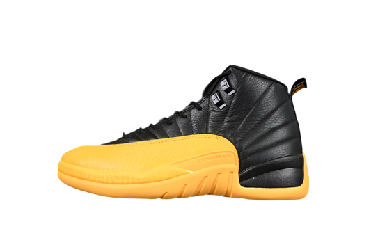 Air Jordan 12