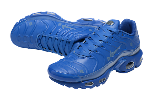 Nike tn